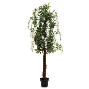 Drzewko Dekoracyjne Wisteria