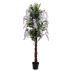 Drzewko Dekoracyjne Wisteria