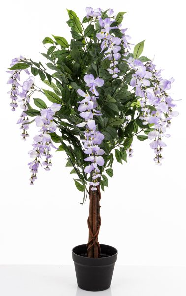 Drzewko Dekoracyjne Wisteria