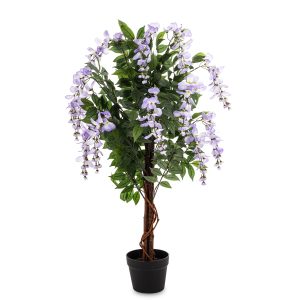 Drzewko Dekoracyjne Wisteria