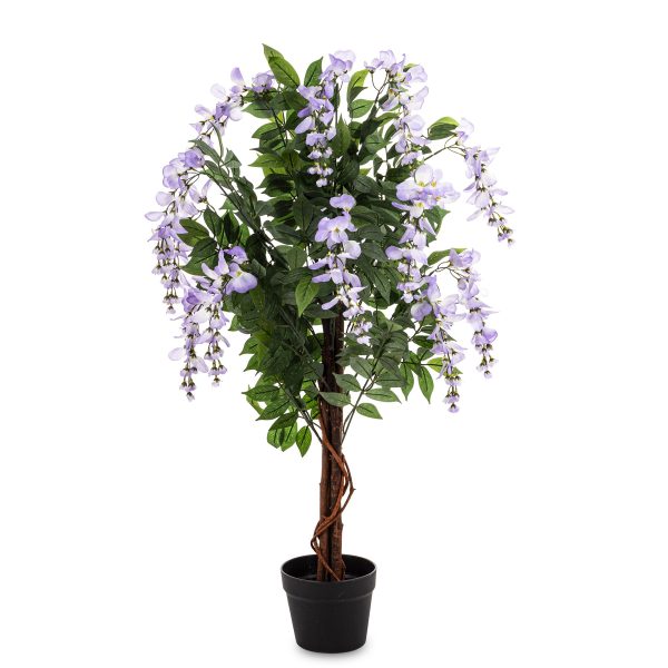 Drzewko Dekoracyjne Wisteria