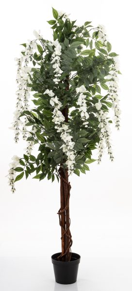 Drzewko Dekoracyjne Wisteria