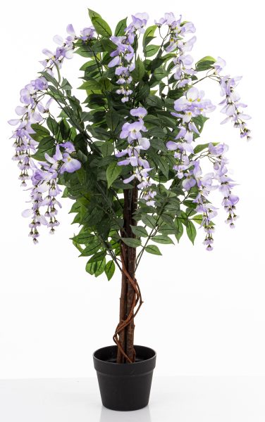 Drzewko Dekoracyjne Wisteria