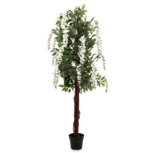 Drzewko Dekoracyjne Wisteria