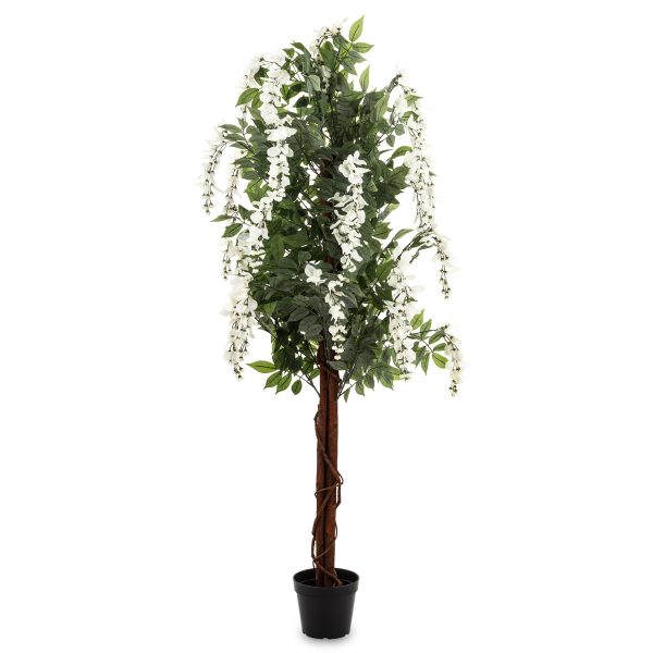 Drzewko Dekoracyjne Wisteria