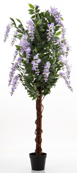 Drzewko Dekoracyjne Wisteria