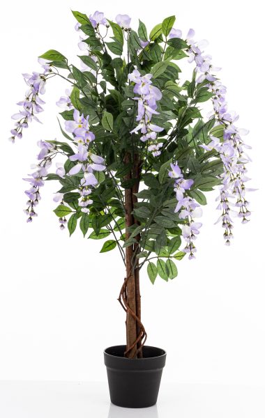 Drzewko Dekoracyjne Wisteria