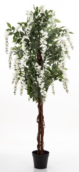 Drzewko Dekoracyjne Wisteria