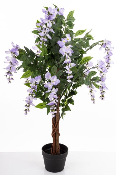 Drzewko Dekoracyjne Wisteria