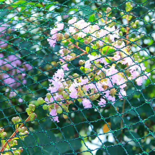 SIATKA OCHRONNA PRZECIW PTAKOM 6x10m (30g/m2) + 6 PLASTIK. SZPILEK *9783