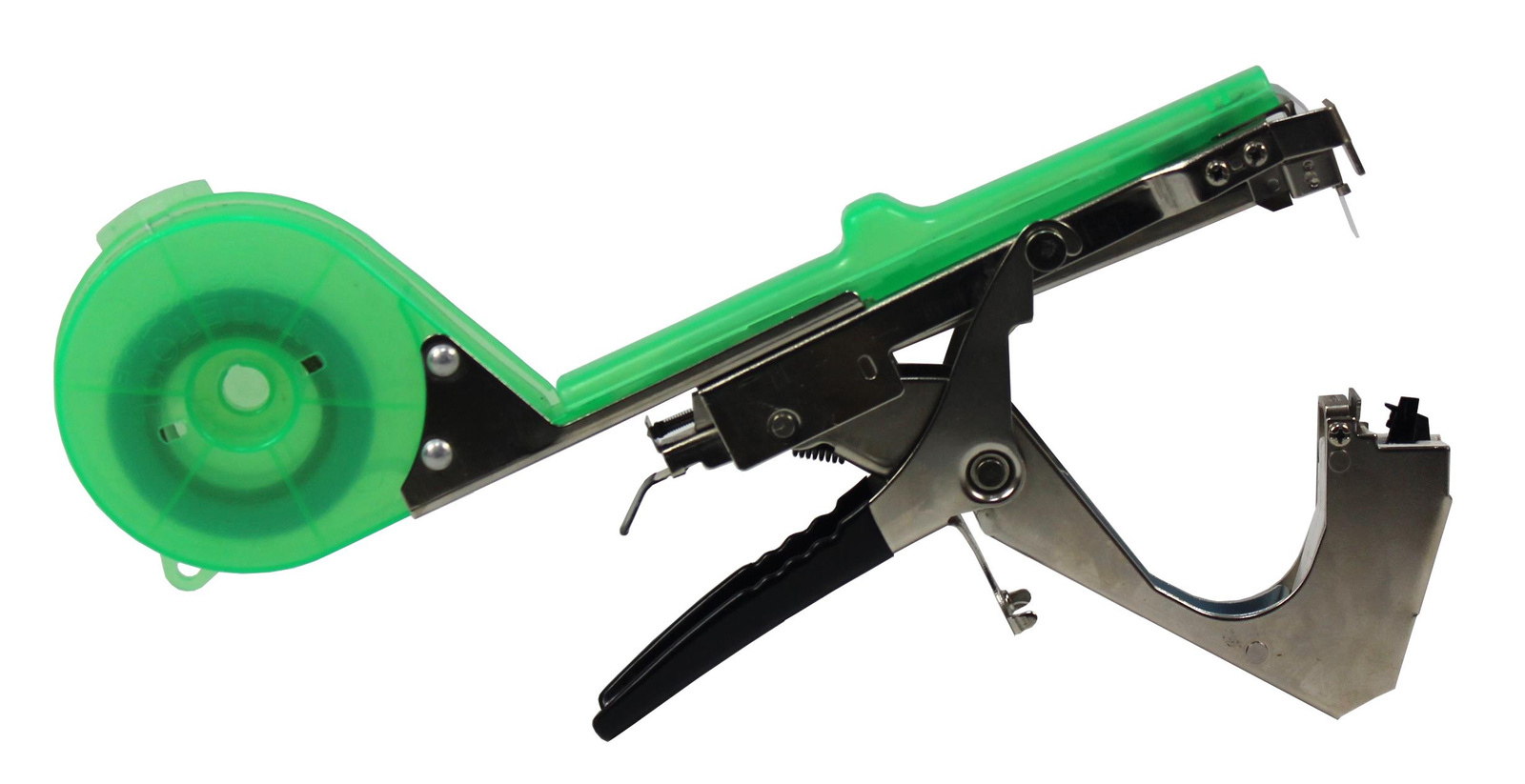 ZSZYWACZ OGRODOWY *5362 - obrazek 2