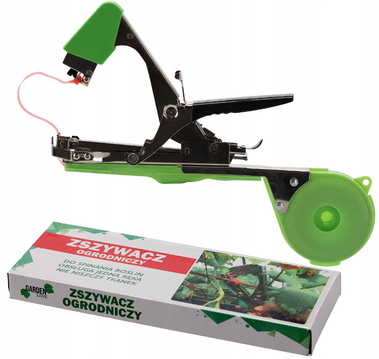 ZSZYWACZ OGRODOWY *5362 - obrazek 3
