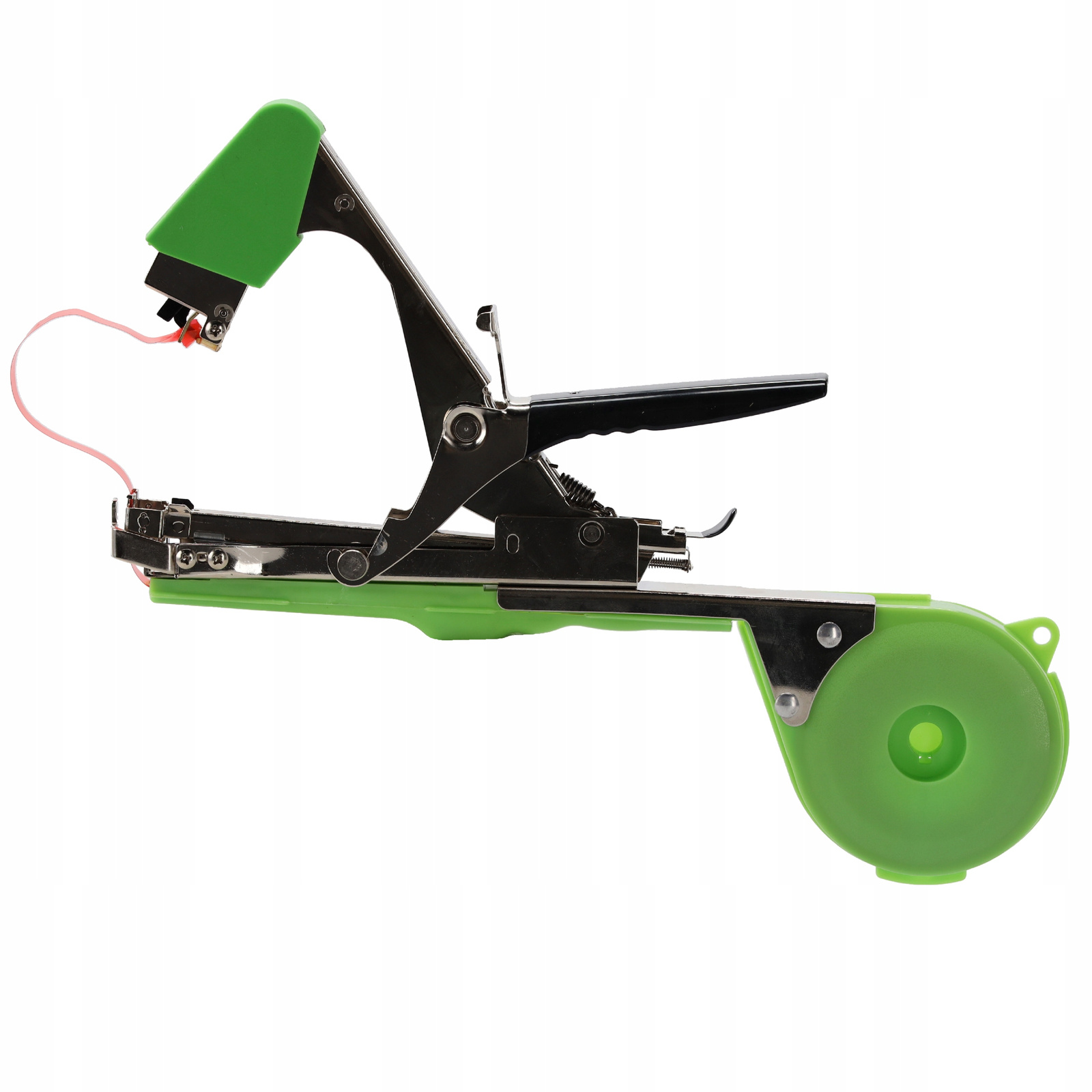 ZSZYWACZ OGRODOWY *5362 - obrazek 4