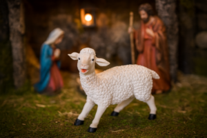 FIGURA OWCA 11 x 29 x 25 CM (91,44 CM) polyresin *2849