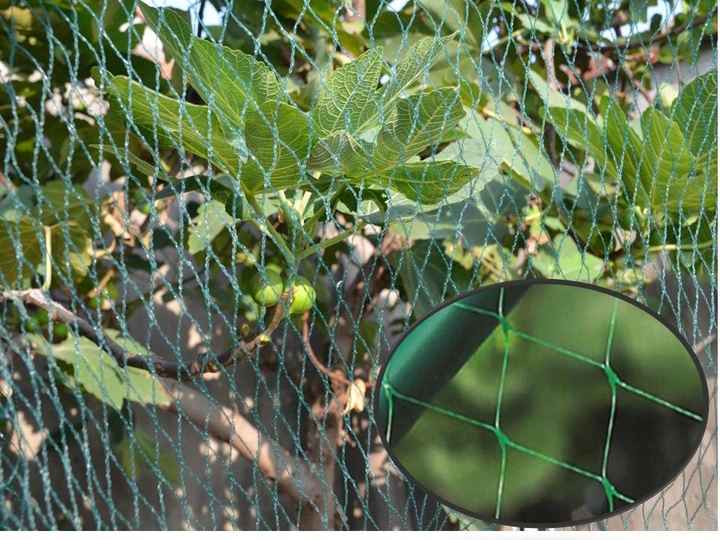 SIATKA OCHRONNA PRZECIW PTAKOM 10x20m (18g/m2) + 20 PLASTIK. SZPILEK *5207 - obrazek 2