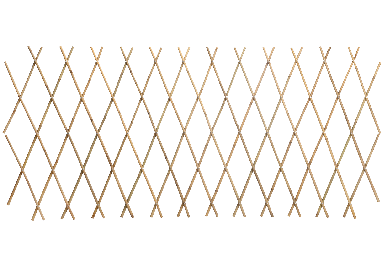 PŁOTEK BAMBUSOWY ROZKŁADANY 200 cm x 200 cm x 16/18 mm *3274 - obrazek 2