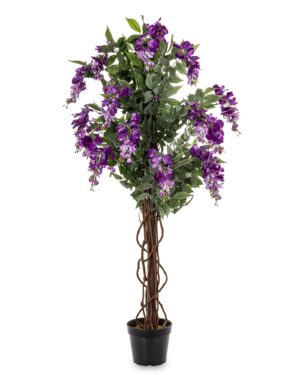 Drzewko Dekoracyjne Wisteria