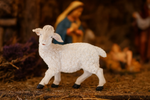 FIGURA OWCA 14 x 25 x 22 CM (76.2 CM) polyresin *2733